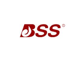 BSS, Yulin energy limited